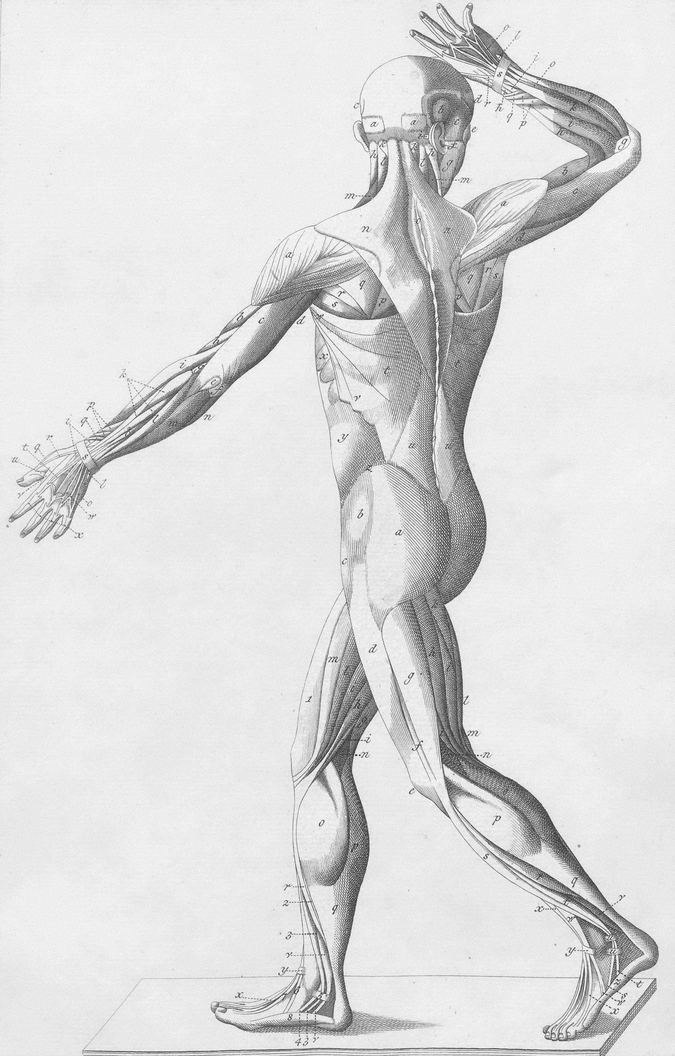 FIBROMIALGIA: Parlarne non basta più